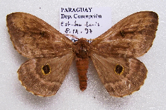 FIGURE 3e FIGURE 3e